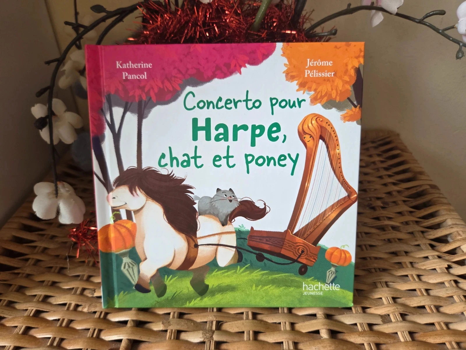 💜Concerto pour harpe, chat et poney livre enfant